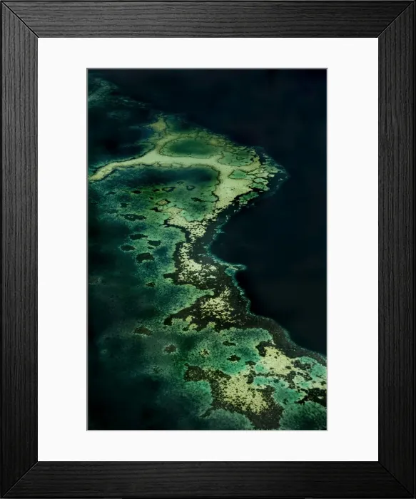 Framed Print : Reef, Wakatobi Dive Resort, Sulawesi, Indonesia Framed Print : Reef, Wakatobi Dive Resort, Sulawesi, Indonesia