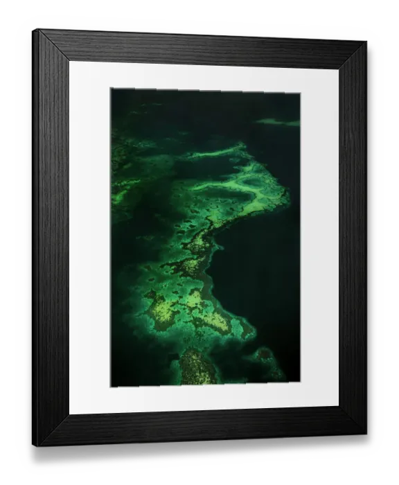 Framed Print : Reef, Wakatobi Dive Resort, Sulawesi, Indonesia Framed Print : Reef, Wakatobi Dive Resort, Sulawesi, Indonesia