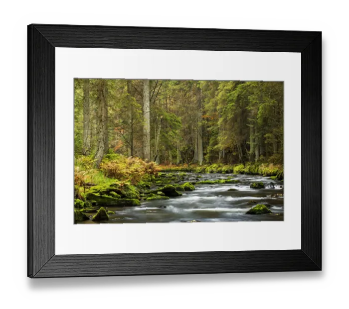 Framed Print : Grosser Regen river, autumn, Bavarian Forest National Park, Bavaria, Germany Framed Print : Grosser Regen river, autumn, Bavarian Forest National Park, Bavaria, Germany