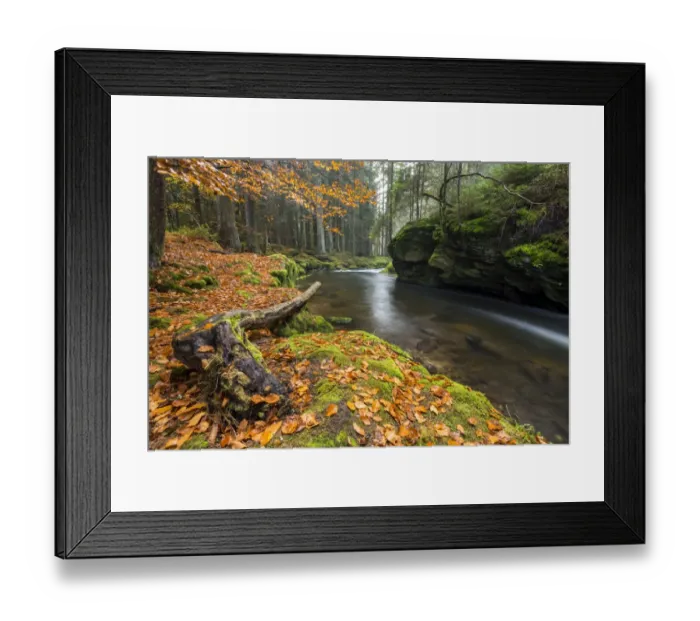Framed Print : Grosser Regen river, autumn, Bavarian Forest National Park, Bavaria, Germany Framed Print : Grosser Regen river, autumn, Bavarian Forest National Park, Bavaria, Germany