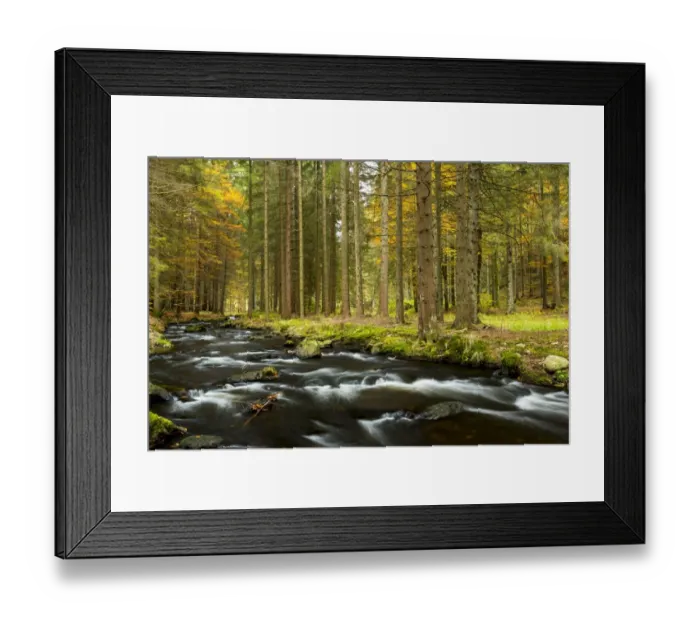 Framed Print : Kleiner Regen river, autumn, Bavarian Forest National Park, near Fraunau, Bavaria, Germany Framed Print : Kleiner Regen river, autumn, Bavarian Forest National Park, near Fraunau, Bavaria, Germany