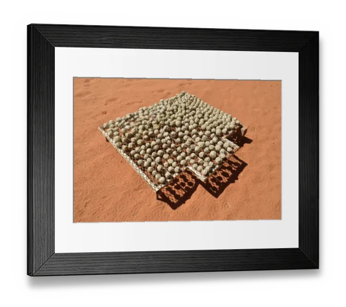 Framed Print : Renewable energy, balls of recycled paper, papier mache, paper mache, drying in the sun, Namibia
