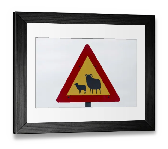 Framed Print : Traffic sign, warning of sheep, Reykjanes, Iceland Framed Print : Traffic sign, warning of sheep, Reykjanes, Iceland