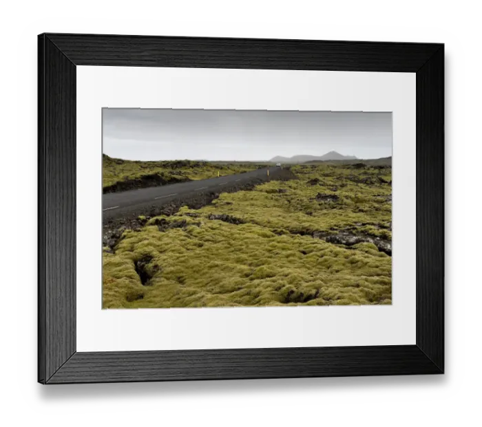 Framed Print : Road through a lava field, lava covered by Elongate Rock Moss -Niphotrichum elongatum-, Reykjanesskagi, Southern Peninsula or Reykjanes, Iceland Framed Print : Road through a lava field, lava covered by Elongate Rock Moss -Niphotrichum elongatum-, Reykjanesskagi, Southern Peninsula or Reykjanes, Iceland