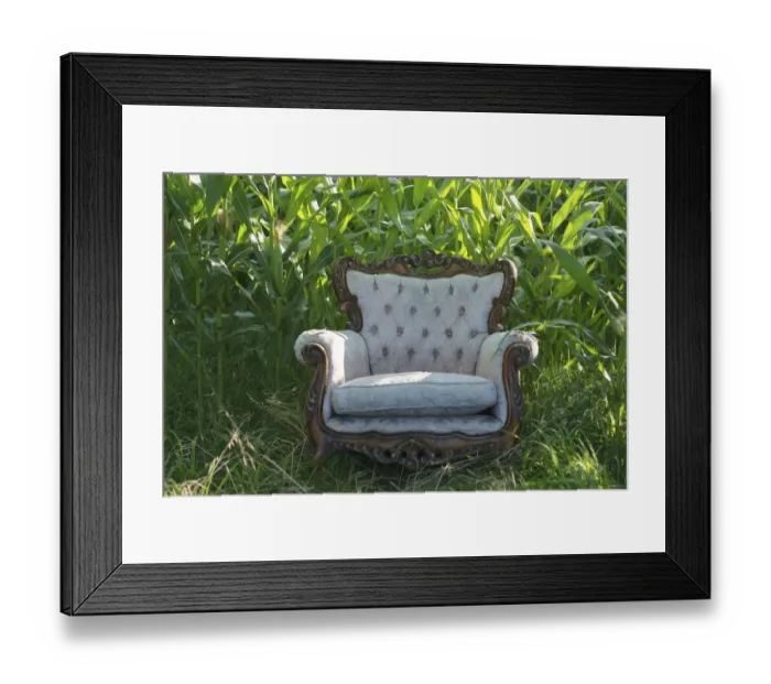 Framed Print : Old armchair in front of a corn field Framed Print : Old armchair in front of a corn field