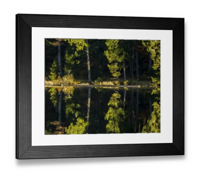 Framed Print : Grosser Arbersee lake, Bavarian Forest National Park, Bavaria, Germany Framed Print : Grosser Arbersee lake, Bavarian Forest National Park, Bavaria, Germany