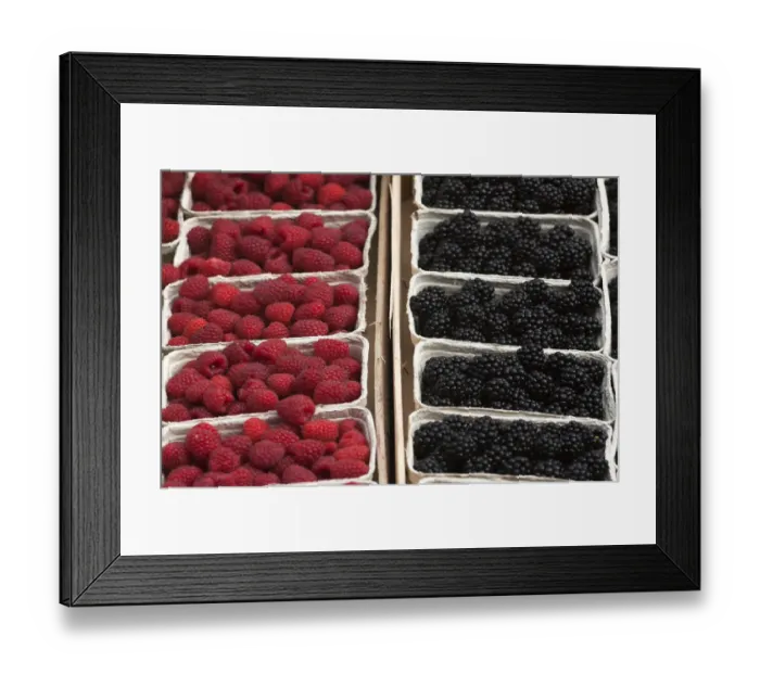 Framed Print : Fresh Raspberries -Rubus idaeus- and fresh Blackberries -Rubus sectio Rubusin- in boxes on the market, Baden-Wurttemberg, Germany Framed Print : Fresh Raspberries -Rubus idaeus- and fresh Blackberries -Rubus sectio Rubusin- in boxes on the market, Baden-Wurttemberg, Germany