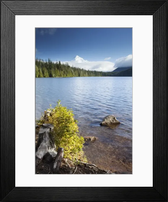 Framed Print : Lost Lake with Mount Hood, Hood River, Oregon, United States Framed Print : Lost Lake with Mount Hood, Hood River, Oregon, United States