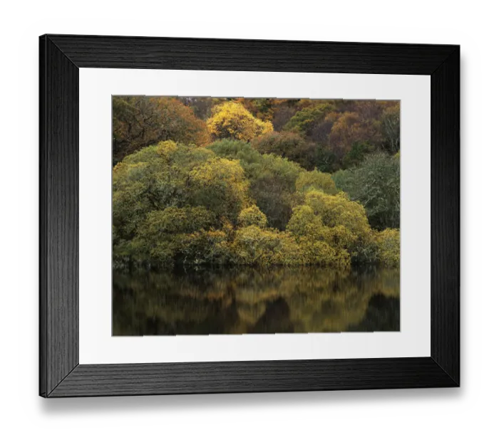 Framed Print : Reflections in a lake, autumn mood, Connemara, County Galway, Ireland Framed Print : Reflections in a lake, autumn mood, Connemara, County Galway, Ireland