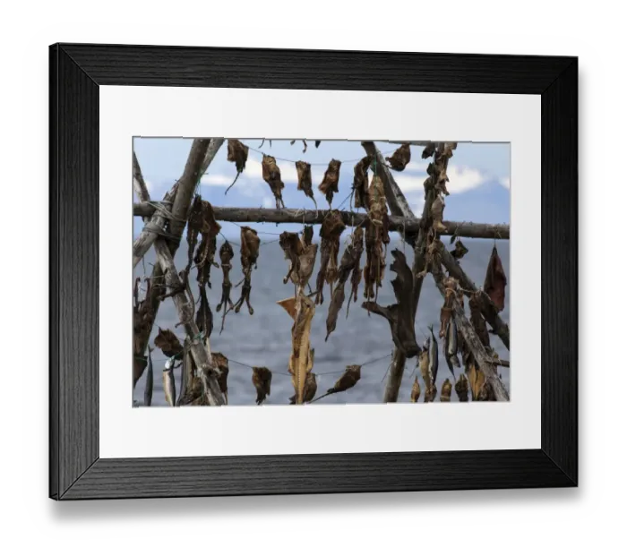 Framed Print : Dried fish, Iceland