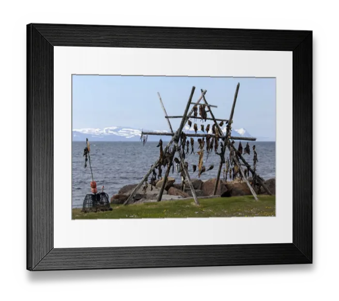 Framed Print : Dried fish, Iceland