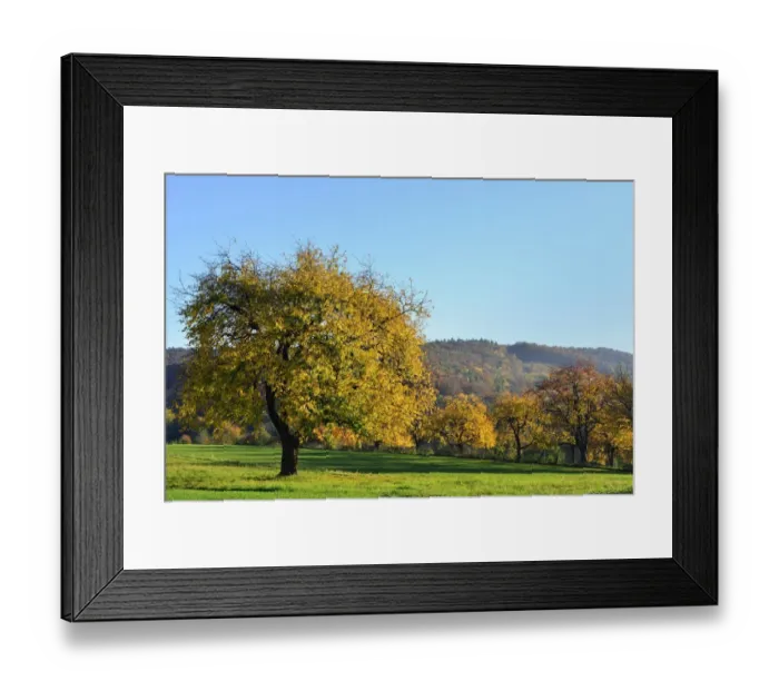 Framed Print : Autumn mood along the Burgenland Wine Road, Rosaliengebirge mountain range, Rohrbach bei Mattersburg, Burgenland, Austria Framed Print : Autumn mood along the Burgenland Wine Road, Rosaliengebirge mountain range, Rohrbach bei Mattersburg, Burgenland, Austria