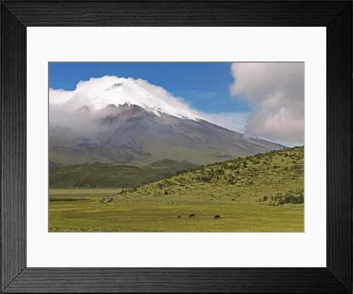 Framed Print : Snow-covered summit of Cotopaxi volcano rises from a cloud cover, Cotopaxi National Park, Cotopaxi Province, Ecuador Framed Print : Snow-covered summit of Cotopaxi volcano rises from a cloud cover, Cotopaxi National Park, Cotopaxi Province, Ecuador