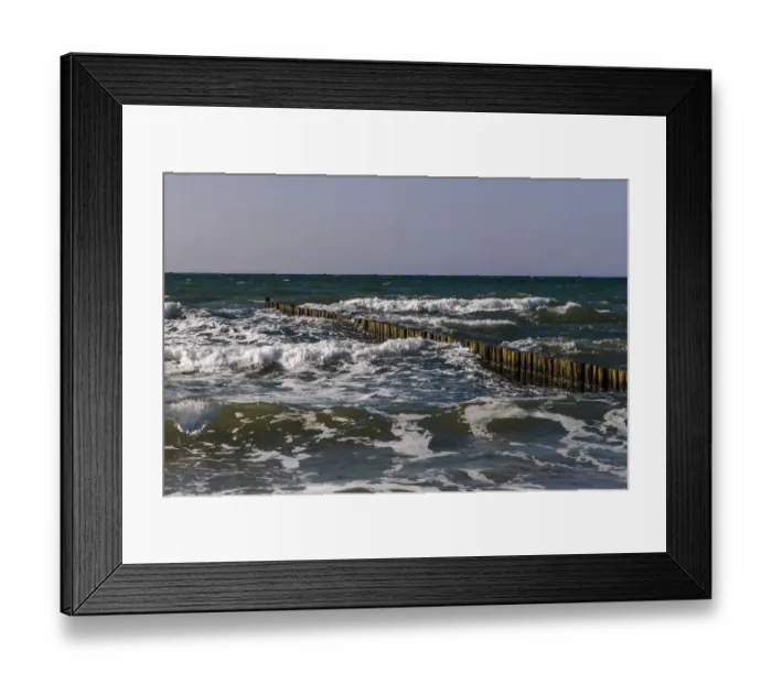 Framed Print : Groynes at moderate swell on the beach of Ahrenshoop, Fischland, Mecklenburg-Western Pomerania, Germany Framed Print : Groynes at moderate swell on the beach of Ahrenshoop, Fischland, Mecklenburg-Western Pomerania, Germany