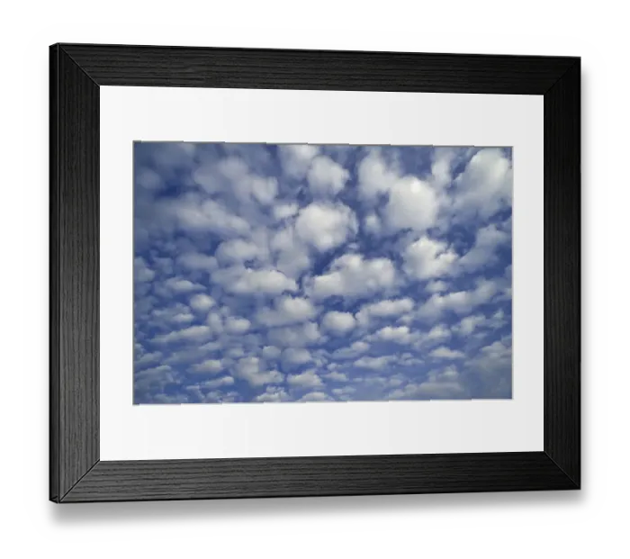 Framed Print : Small fluffy clouds, Cirrocumulus Framed Print : Small fluffy clouds, Cirrocumulus