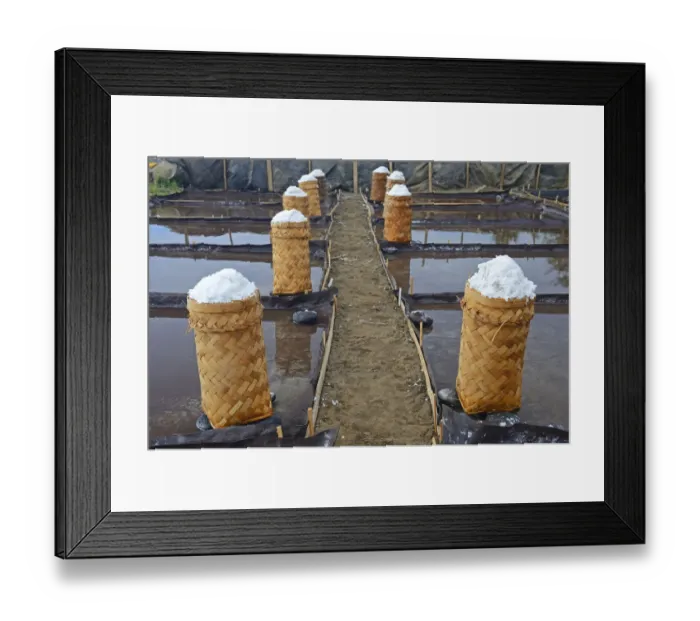 Framed Print : Harvested sea salt, packed to dry, known as Fleur de Sel, North Bali, Bali, Indonesia Framed Print : Harvested sea salt, packed to dry, known as Fleur de Sel, North Bali, Bali, Indonesia