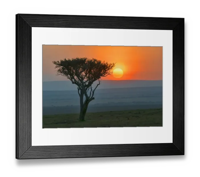 Framed Print : Sunrise behind the silhouette of a tree, Msai Mara National Reserve, Kenya Framed Print : Sunrise behind the silhouette of a tree, Msai Mara National Reserve, Kenya