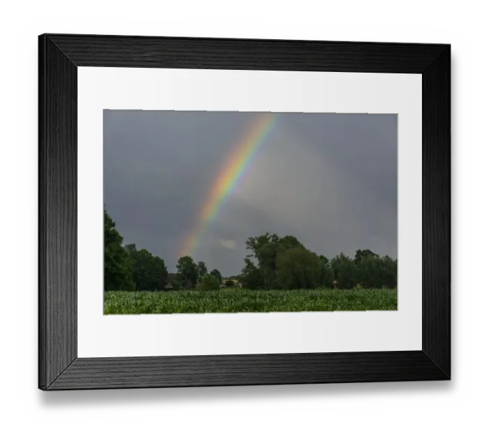 Framed Print : Rainbow over a cornfield, North Rhine-Westphalia, Germany Framed Print : Rainbow over a cornfield, North Rhine-Westphalia, Germany