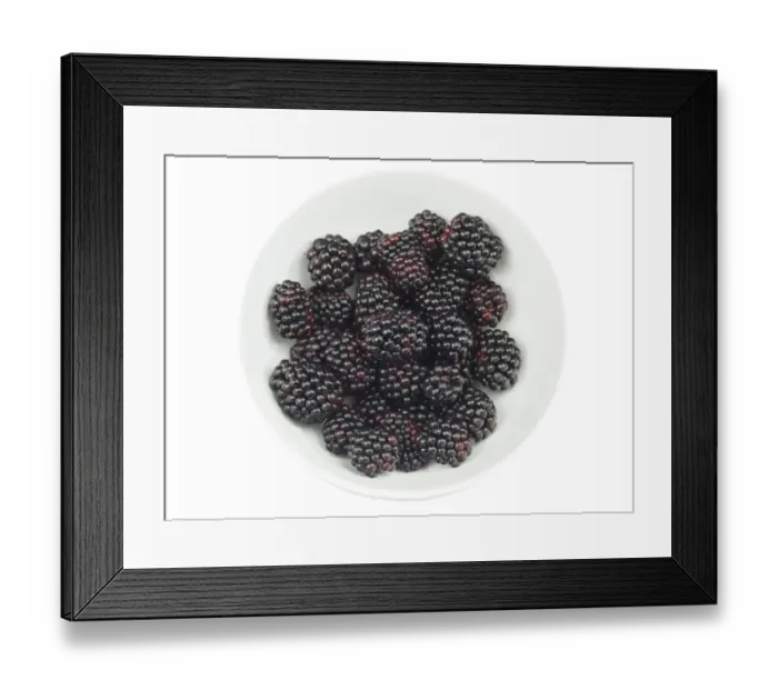 Framed Print : Blackberries in a bowl Framed Print : Blackberries in a bowl