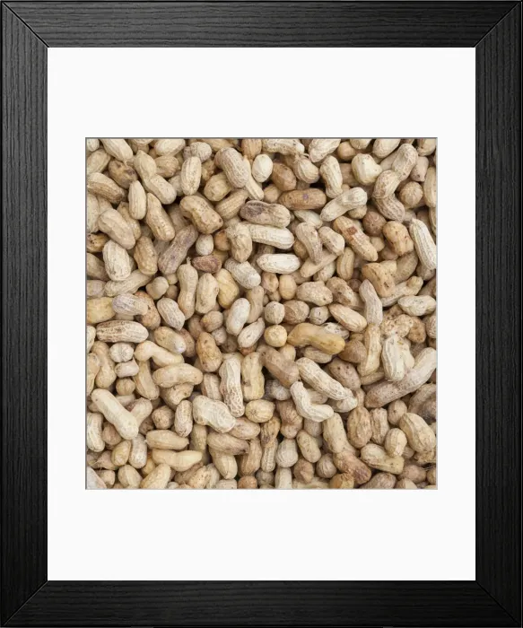 Framed Print : Boiled peanuts on sale at a market, Thailand Framed Print : Boiled peanuts on sale at a market, Thailand