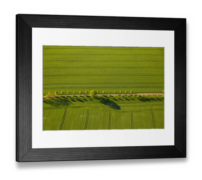 Framed Print : Country road, avenue of trees between fields in the spring, Gross Roge, Mecklenburg-Western Pomerania, Germany Framed Print : Country road, avenue of trees between fields in the spring, Gross Roge, Mecklenburg-Western Pomerania, Germany