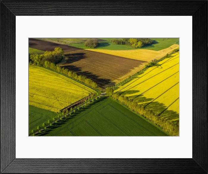 Framed Print : Avenue crossroads with rape fields in full bloom, Gross Roge, Mecklenburg Lake District, Mecklenburg-Western Pomerania, Germany Framed Print : Avenue crossroads with rape fields in full bloom, Gross Roge, Mecklenburg Lake District, Mecklenburg-Western Pomerania, Germany