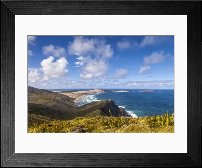 Framed Print : Cape Maria van Diemen, miniature flax in the foreground, which grows at Cape Reinga, specially adapted to the toxic soil, lacking in nutrients, of the area, Cape Reinga, Northland, North Island, New Zealand Framed Print : Cape Maria van Diemen, miniature flax in the foreground, which grows at Cape Reinga, specially adapted to the toxic soil, lacking in nutrients, of the area, Cape Reinga, Northland, North Island, New Zealand