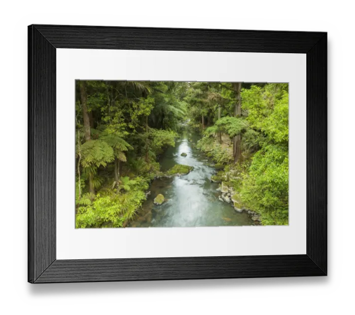 Framed Print : Hatea River, the river just below Whangerai Falls. Whangerei, Northland, North Island, New Zealand Framed Print : Hatea River, the river just below Whangerai Falls. Whangerei, Northland, North Island, New Zealand
