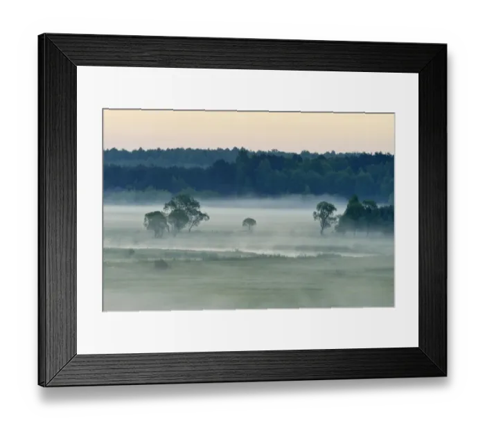 Framed Print : Landscape in morning mist, Biebrza National Park, Podlaskie Voivodeship, Poland Framed Print : Landscape in morning mist, Biebrza National Park, Podlaskie Voivodeship, Poland