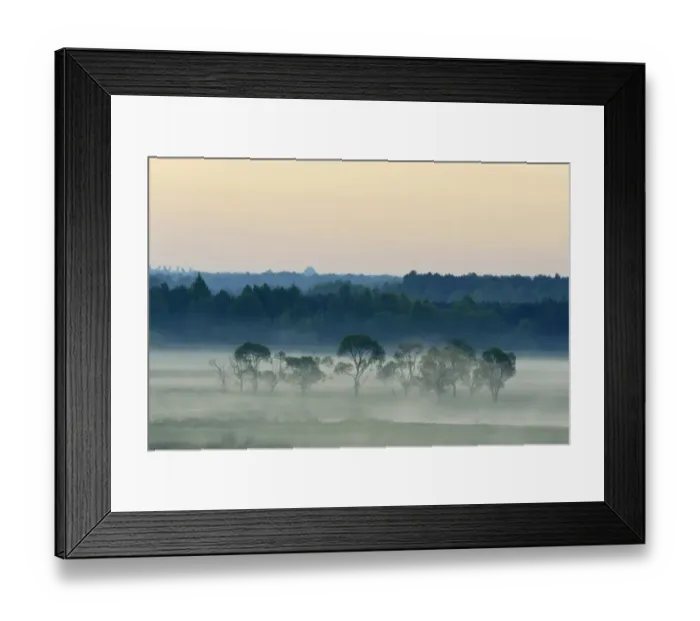 Framed Print : Landscape in morning mist, Biebrza National Park, Podlaskie Voivodeship, Poland Framed Print : Landscape in morning mist, Biebrza National Park, Podlaskie Voivodeship, Poland