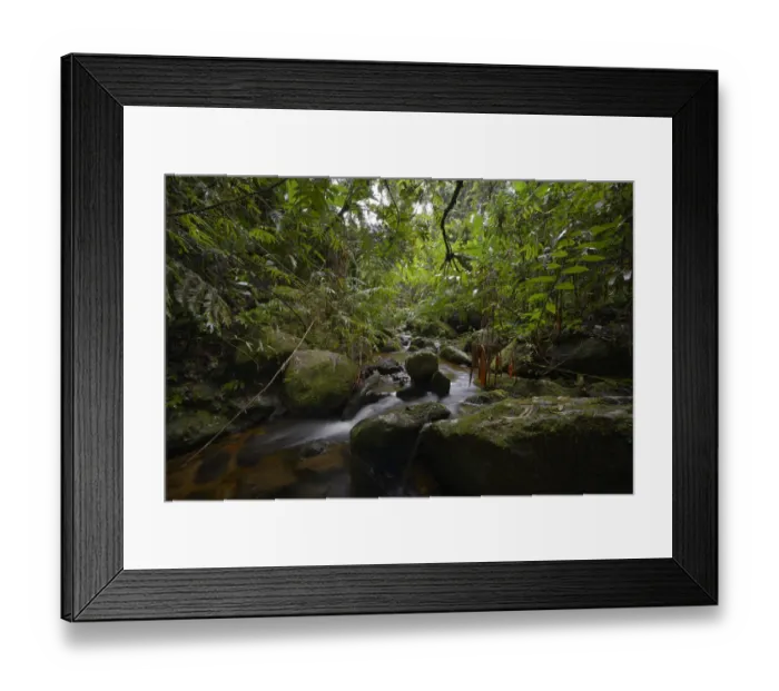 Framed Print : Stream in the rainforest of Marojejy, Madagascar Framed Print : Stream in the rainforest of Marojejy, Madagascar