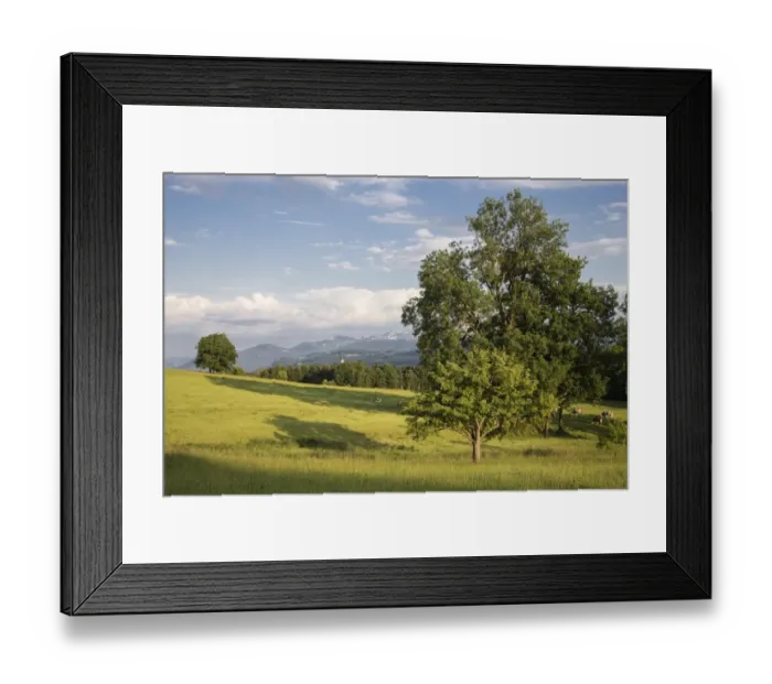 Framed Print : Cow pasture near the pilgrimage church of Wilparting, Irschenberg, Miesbach region, Upper Bavaria, Germany Framed Print : Cow pasture near the pilgrimage church of Wilparting, Irschenberg, Miesbach region, Upper Bavaria, Germany