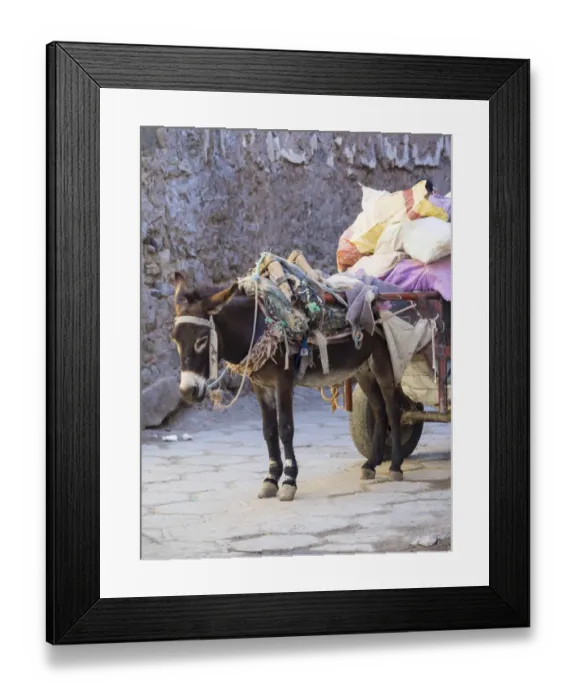 Framed Print : Pack donkey with a laden cart in the Medina, Marrakech, Marrakech-Tensift-Al Haouz, Morocco