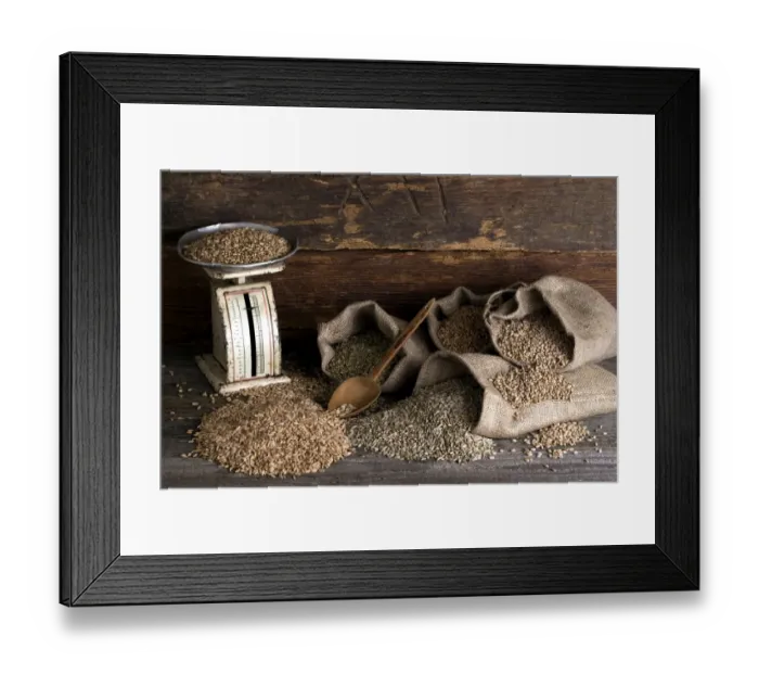 Framed Print : Various types of cereals, wheat, rye, unripe spelt grain and spelt, in jute bags on rustic wood Framed Print : Various types of cereals, wheat, rye, unripe spelt grain and spelt, in jute bags on rustic wood