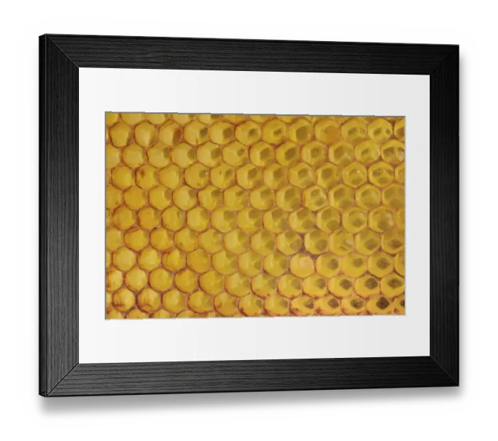 Framed Print : Honeycomb with a coating of red propolis Framed Print : Honeycomb with a coating of red propolis