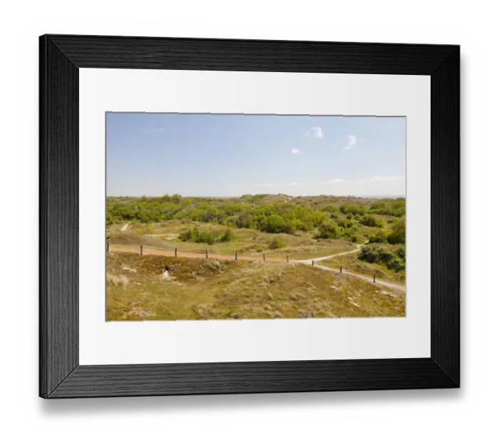 Framed Print : Dunes, Lower Saxon Wadden Sea National Park, Baltrum, East Frisian Islands, East Frisia, Lower Saxony, Germany Framed Print : Dunes, Lower Saxon Wadden Sea National Park, Baltrum, East Frisian Islands, East Frisia, Lower Saxony, Germany