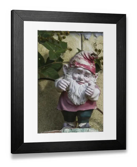 Framed Print : Garden gnome Framed Print : Garden gnome