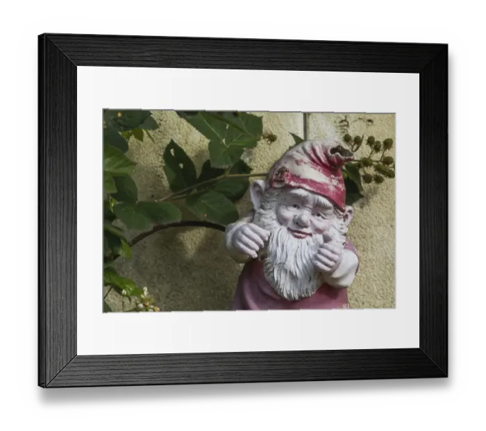 Framed Print : Garden gnome Framed Print : Garden gnome
