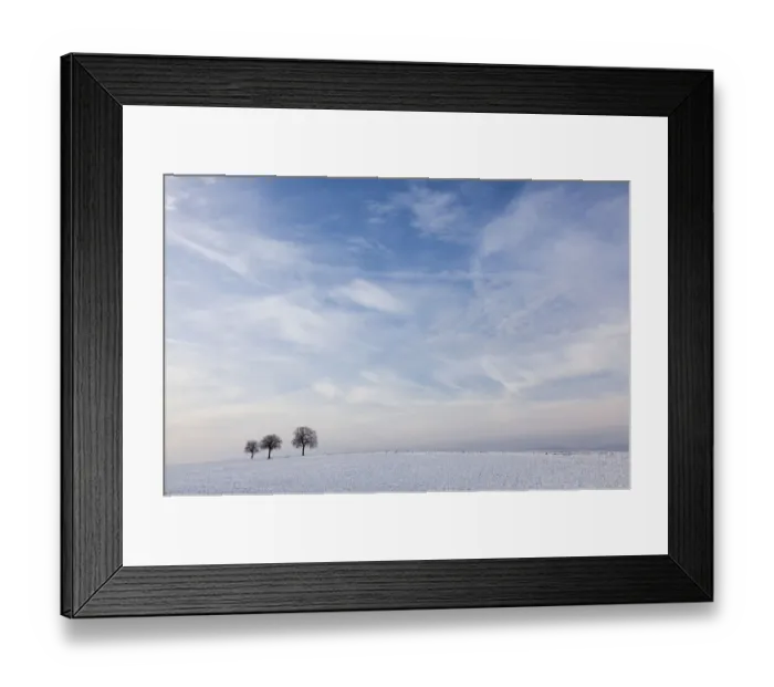 Framed Print : Walnut Trees -Juglans regia- in a snow-covered field against a cloudy sky, Southern Palatinate, Rhineland-Palatinate, Germany Framed Print : Walnut Trees -Juglans regia- in a snow-covered field against a cloudy sky, Southern Palatinate, Rhineland-Palatinate, Germany