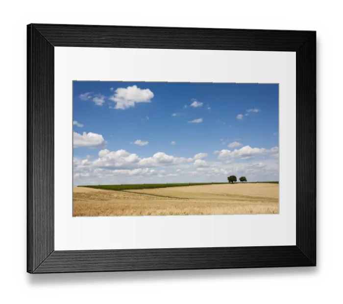 Framed Print : Cornfields, Walnut Trees -Juglans regia- at the back, Southern Palatinate, Rhineland-Palatinate, Germany Framed Print : Cornfields, Walnut Trees -Juglans regia- at the back, Southern Palatinate, Rhineland-Palatinate, Germany