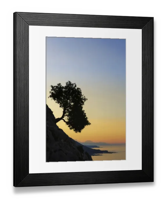 Framed Print : Silhouette of an olive tree growing on a slope next to the sea, Loutro, Chania, Crete, Greece Framed Print : Silhouette of an olive tree growing on a slope next to the sea, Loutro, Chania, Crete, Greece