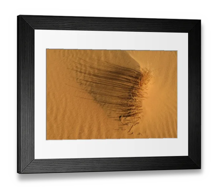 Framed Print : Sand ripples, texture on a sand dune, Tassili nAjjer, Sahara desert, Algeria Framed Print : Sand ripples, texture on a sand dune, Tassili nAjjer, Sahara desert, Algeria