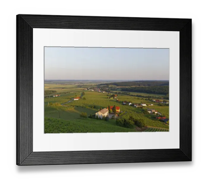 Framed Print : Eisenberg vineyard, Eisenberg an der Pinka, Southern Burgenland, Burgenland, Austria Framed Print : Eisenberg vineyard, Eisenberg an der Pinka, Southern Burgenland, Burgenland, Austria