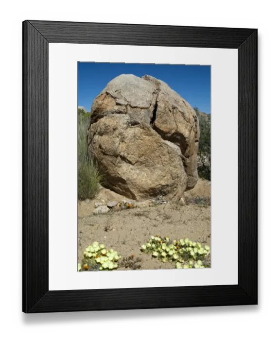Framed Print : Granite rock, split by extreme temperature fluctuations, Namaqualand, South Africa, Africa Framed Print : Granite rock, split by extreme temperature fluctuations, Namaqualand, South Africa, Africa