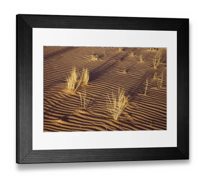 Framed Print : Tufts of grass in the sand of the Libyan Desert, Wadi Awis, Sahara, Libya, North Africa, Africa Framed Print : Tufts of grass in the sand of the Libyan Desert, Wadi Awis, Sahara, Libya, North Africa, Africa