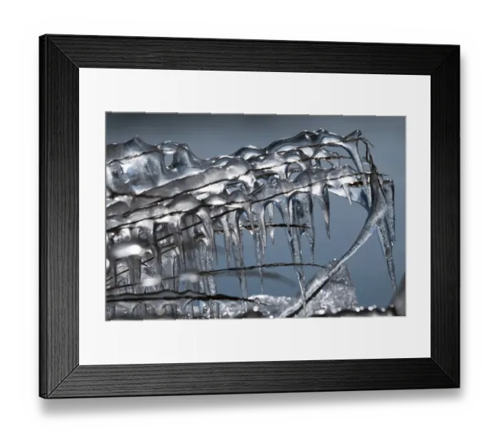 Framed Print : Frozen grass with icicles, south coast, Iceland, Europe Framed Print : Frozen grass with icicles, south coast, Iceland, Europe