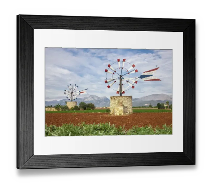 Framed Print : Windmils in Sa Pobla, Majorca, Spain, Europe