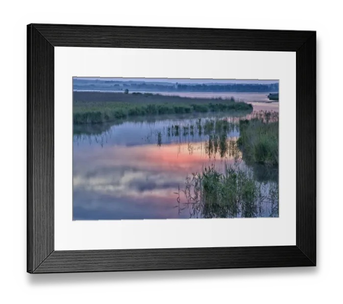 Framed Print : Lake Federsee with a moor in the morning light, Lake Federsee district, near Bad Buchau, Baden-Wuerttemberg, Germany, Europe Framed Print : Lake Federsee with a moor in the morning light, Lake Federsee district, near Bad Buchau, Baden-Wuerttemberg, Germany, Europe