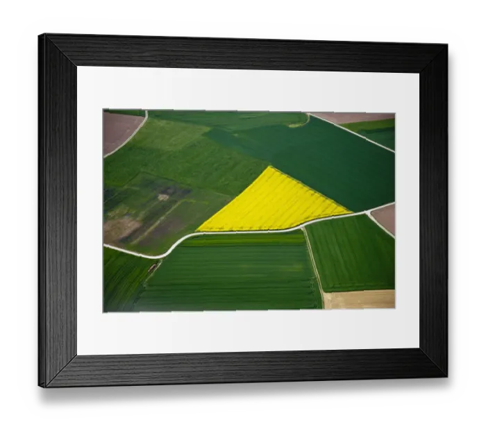 Framed Print : Aerial view, rapeseed fields, corn fields, fields, district of Biberach an der Riss, Baden-Wuerttemberg, Germany, Europe Framed Print : Aerial view, rapeseed fields, corn fields, fields, district of Biberach an der Riss, Baden-Wuerttemberg, Germany, Europe