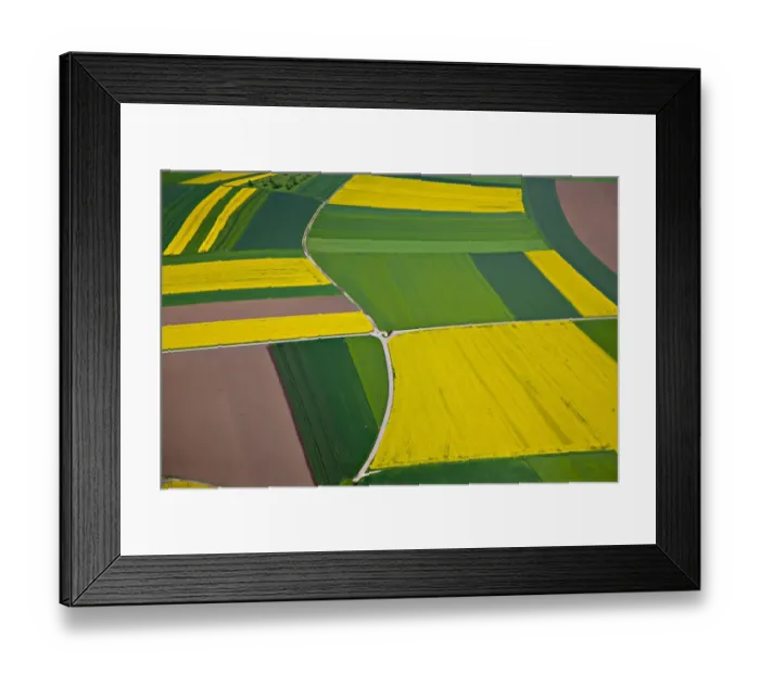 Framed Print : Aerial view, rapeseed fields, corn fields, fields, district of Biberach an der Riss, Baden-Wuerttemberg, Germany, Europe Framed Print : Aerial view, rapeseed fields, corn fields, fields, district of Biberach an der Riss, Baden-Wuerttemberg, Germany, Europe